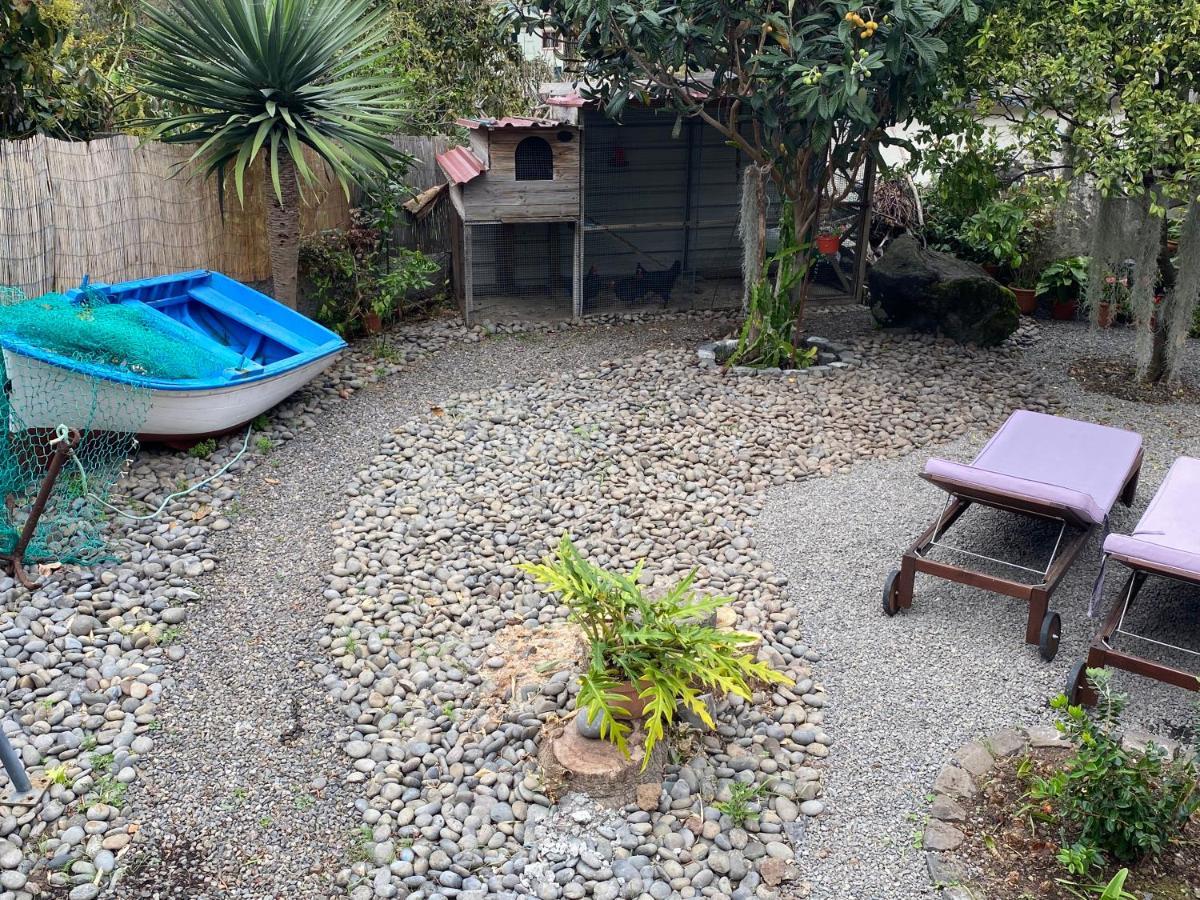 Cottage Quinze, Contemporary Designed Cottage With Swimming Pool 폰타델가다 외부 사진